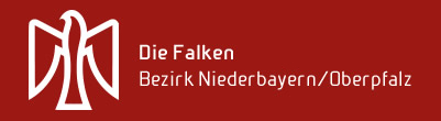 Logo Falken